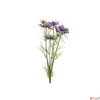 Kép 3/6 - Selyemvirág művirág pillangó Cosmos bipinnatus Jalisha purple lila kerti pillangó virág 66cm Holland S