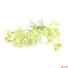 Kép 3/3 - Selyemvirág - művirág vadmuro Daucus carota white SDDST53