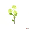 Kép 3/5 - Selyemvirág művirág hortenzia labdarózsa Viburnum green bangita 61cm Holland DST53