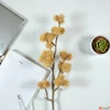Kép 4/6 - Selyemvirág művirág iringó Eryngium créme 69cm Holland DST53