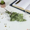 Kép 5/6 - Selyemvirág művirág 90cm Eucalyptus green - zöld élethű Holland DST53