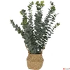 Kép 1/2 - Selyemvirág - művirág '23 eucalyptus kosárban kpm