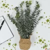Kép 2/2 - Selyemvirág - művirág '23 eucalyptus kosárban kpm