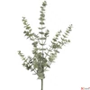 Kép 1/3 - Selyemvirág - művirág 95cm Eucalyptus L green - zöld élehű Holland SDDST53