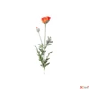 Kép 2/3 - Selyemvirág - művirág pipacs Papaver Joleen orange narancssárga mákvirág Holland SDDST53