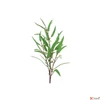 Kép 2/3 - Selyemvirág - művirág fűz Salix M green 98cm Holland SDDST53