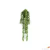 Kép 2/2 - Selyemvirág - művirág borsóka Senecio Rowleyanus green 45cm gyöngyfűzér Holland