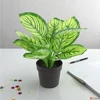 Kép 3/4 - Selyemvirág művirág zebrale Calathea green 30cm Holland DST53
