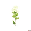 Kép 3/3 - Selyemvirág művirág hortenzia Viburnum créme 61cm Holland SDDST53