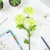Kép 5/5 - Selyemvirág művirág hortenzia labdarózsa Viburnum green bangita 61cm Holland DST53