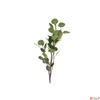 Kép 2/4 - Selyemvirág - művirág 90cm Eucalyptus green - zöld élethű Holland SDDST53