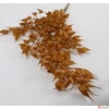 Kép 3/4 - Selyemvirág - művirág búza Wheat branch XL brownb 137cm Holland SDDST53