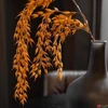 Kép 1/4 - Selyemvirág - művirág búza Wheat branch XL brownb 137cm Holland SDDST53
