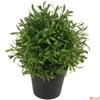 Kép 2/2 - Selyemvirág - művirág 20cm buxus cseréppben zöld12x12x20cm SDDST5 élthű
