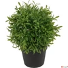 Kép 2/2 - Selyemvirág - művirág 25cm buxus cseréppben zöld15x15x25cm SDDST5 élthű