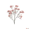 Kép 2/2 - Selyemvirág - művirág 62cm gypsophila rózsaszín 20x20x62cm SDDST5 élehű