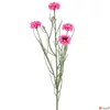 Kép 2/2 - Selyemvirág - művirág 70cm Centaurea rózsaszín12x12x70cm SDDST5 búzavirág élethű