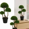 Kép 1/3 - Selyemvirág - művirág fa 80cm buxus bonsia zöld 80x40x32cm SDDST5 élthű