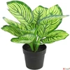 Kép 1/2 - Selyemvirág - művirág zebrale Calathea green 28cm Holland SDDST53