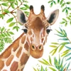 Kép 1/2 - Szalvéta 33x33cm Tropical Giraffe 20db-os
