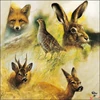 Kép 1/2 - Szalvéta 33x33cm Wild Animals Collage 20db-os