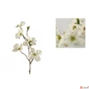 Kép 2/2 - Selyemvirág - művirág magnólia Dogwood spray Fiona S white fehér somfa 48cm Holland SDDST53