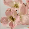 Kép 2/2 - Selyemvirág művirág tavaszi de Dogwood spray Fiona S pink