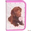 Kép 3/3 - Tolltartó Paso klapnis Kutya 20x13x4cm Dog -Labrador- kutya kollekció Paso