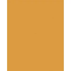 Dekorkarton 2 oldalas 50x70cm 220 g 10lap FOLIA okkersárgalap FOLIA ok