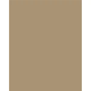 Dekorkarton 2 oldalas 50x70cm 220 g 10lap FOLIA őzbarnalap FOLIA őzbar