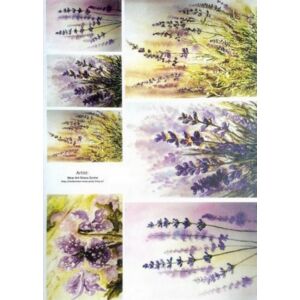 Dekupázs rizspapír A/4 Lavender Levendulás 210x297mm Itd. Collection R1228