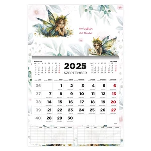 Diák Falinaptár 25 D076 Tündér 16 Havi TopTimer naptár kollekció 26D7630-000