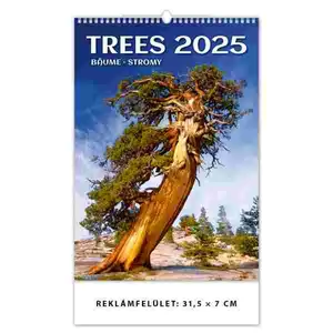 Falinaptár 2025 Trees Dayliner 2025-ös kollekció