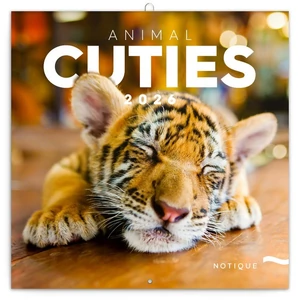 Falinaptár 2026 Animal Cuties lemeznaptár 30×30cm Realsystem 2026 kollekció!