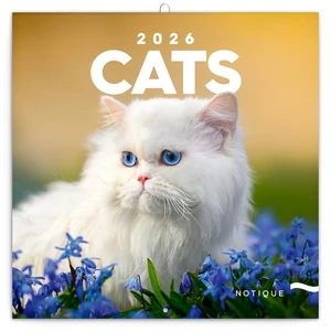 Falinaptár 2026 Cats lemeznaptár 30×30cm Realsystem 2026 kollekció!