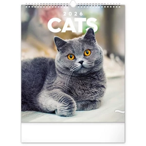 Falinaptár 2026 Cats 6087-CA spirálos 30×34cm Realsystem 2026 kollekció!