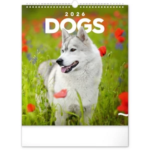 Falinaptár 2026 Dogs 6087-DO spirálos 30×34cm Realsystem 2026 kollekció!