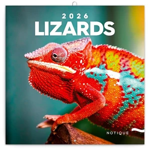 Falinaptár 2026 Lizards lemeznaptár 30×30cm Realsystem 2026 kollekció!