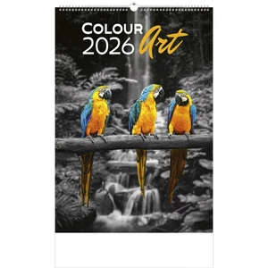 Falinaptár 2026 T092 Colour Art Toptimer 2026 kollekció!