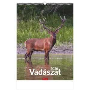 Falinaptár 2026 T093 Vadászat Toptimer 2026 kollekció!