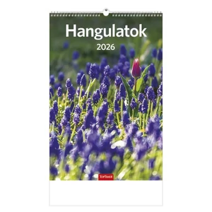 Falinaptár 2026 T094 Hangulatok Toptimer 2026 kollekció!