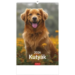 Falinaptár 2026 T094 Kutyák Toptimer 2026 kollekció!