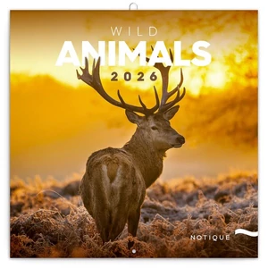 Falinaptár 2026 Wild Animals lemeznaptár 30×30cm Realsystem 2026 kollekció!