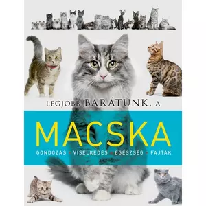 Foglalkoztató könyv cicás Legjobb barátunk, a macska Napraforgó könyvek