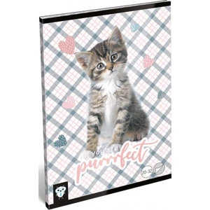 Füzet 20-32 A5 sima Lizzy Kis Bagoly Purrrfect Lizzy kollekció