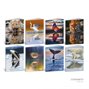 Füzet  A/4 BLASETTI vonalas Animal Mirror Ht 2025 42L Kemény Fedeles9057