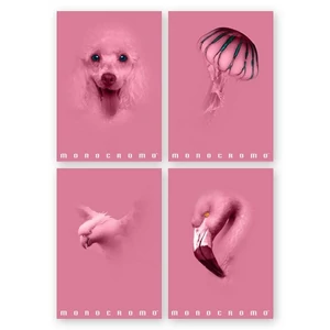 Füzet A/4 Pigna Monocromo Pink 32 lapos vonalas 
