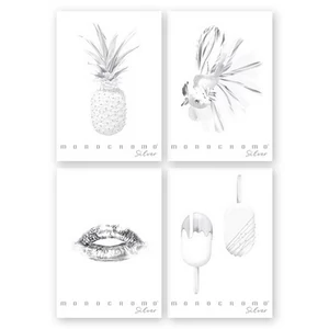 Füzet A/4 Pigna Monocromo Silver  vonalas 38 Lapos 02330571R