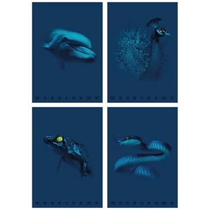 Füzet A4 vonalas Pigna Monocromo Blue 38 lapos fóliázott erős borítóval, nagyon tartós