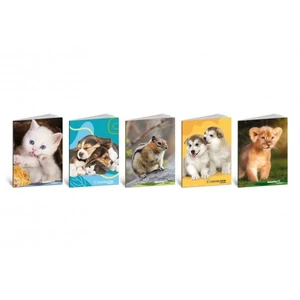 Füzet A5 Blasetti sima 80g 42 lapos Color/Cuccioli 8442